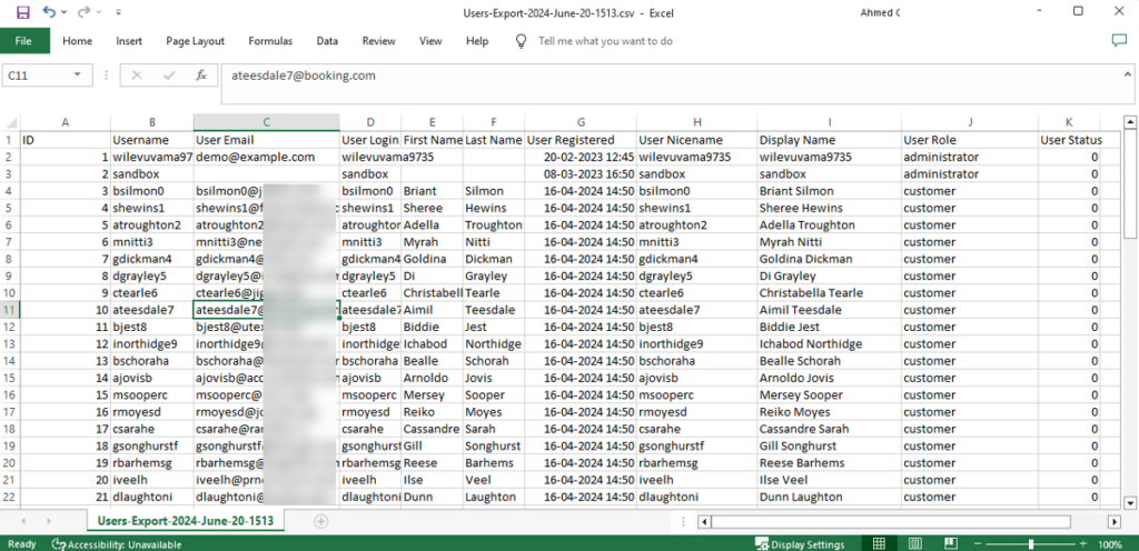 Example User Data