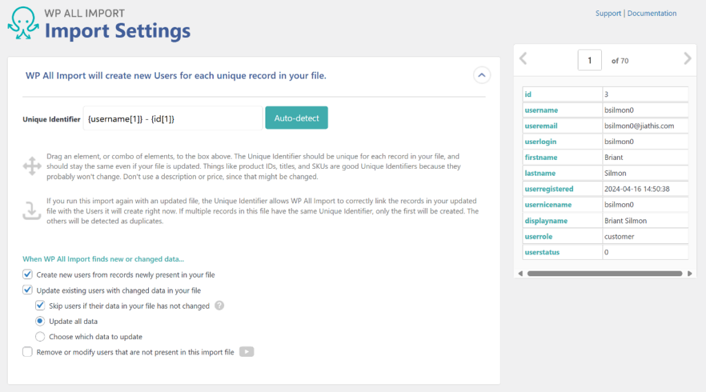 Import Settings WP All Import