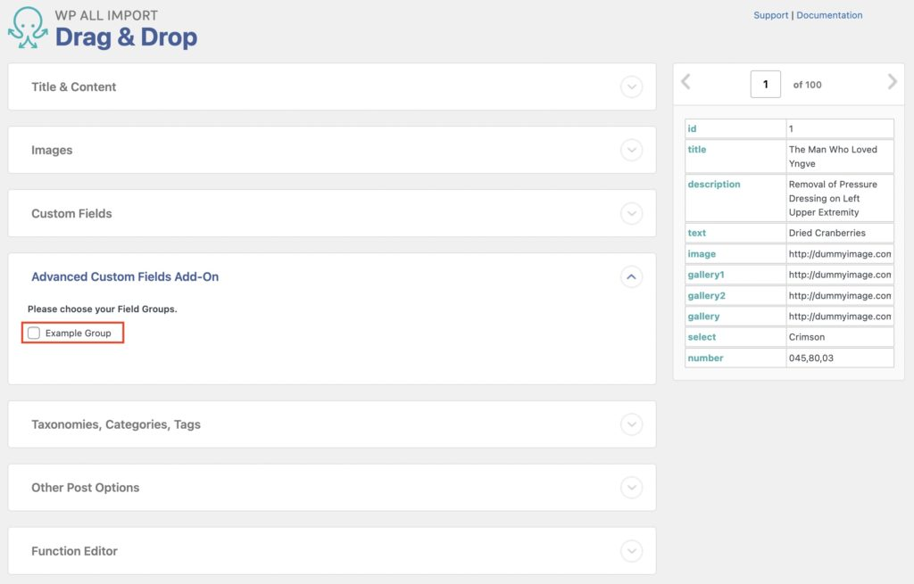 Importing ACF Fields - ACF Add-On