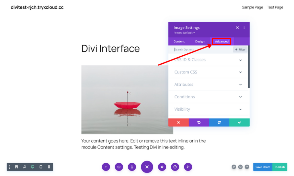 Divi module advanced tab options