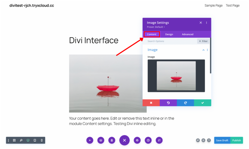 Divi module content tab options