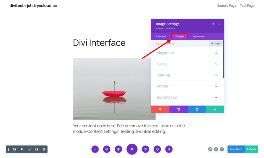 Divi module design tab options