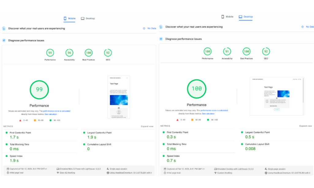 PageSpeed Insights Results on the Divi Test Page