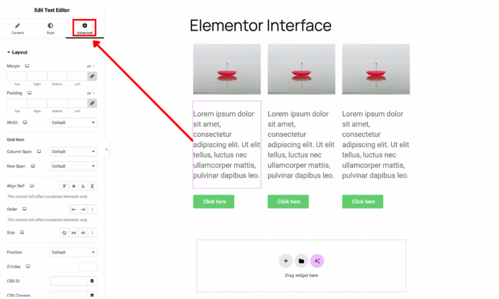 Elementor widget advanced tab options