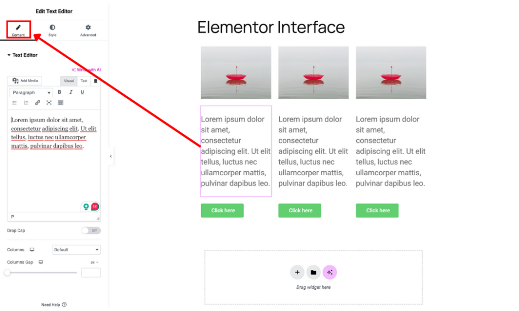 Elementor widget content tab options