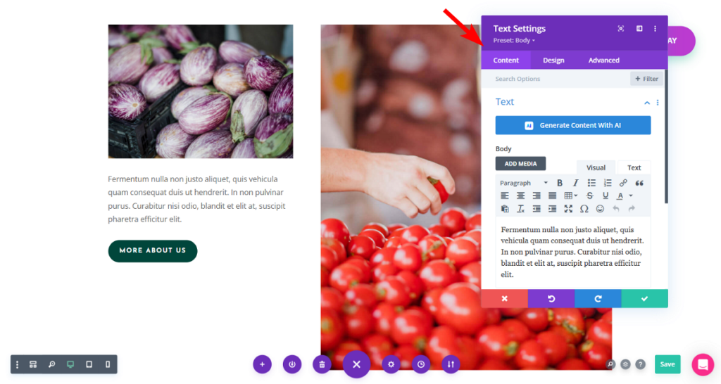 Divi settings window with three tabs